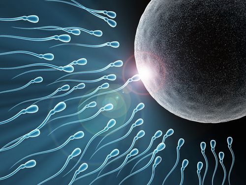 Yeah, Life Begins at Conception —So What?