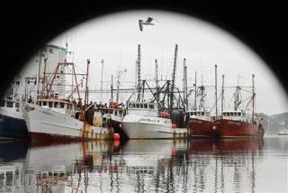 Move to Save Fishing Industry Could Kill It