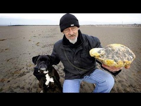 A Man and His Dog Uncover Whale Vomit Worth $68K