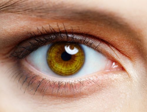 Anti-Cholesterol Eye Drops Could Fight Blindness