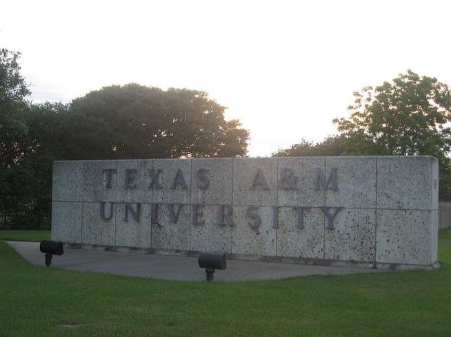 Texas A&M Bill Threatens Funds for Gay Group
