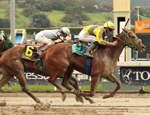Racehorses Are Dropping Dead in California