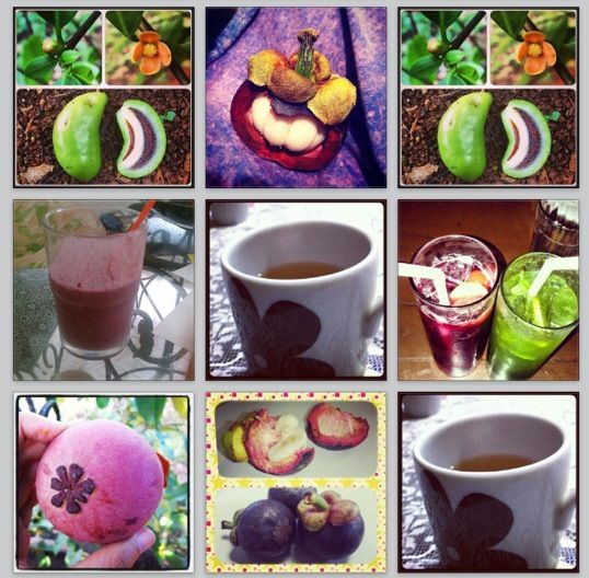 Instagram Under Spam Attack by ... Tropical Fruit