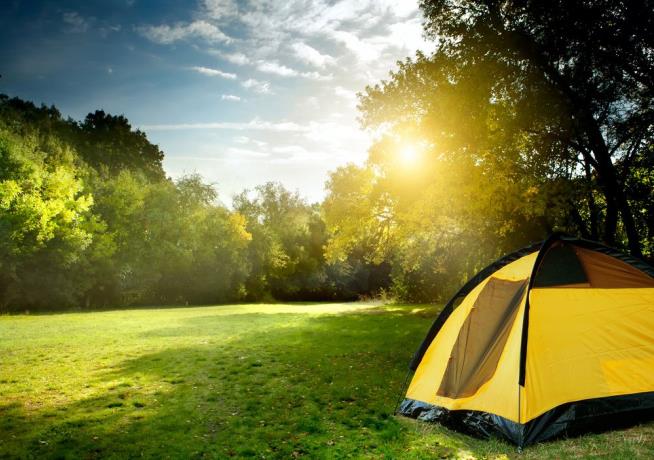 Feeling Groggy? Go Camping (for a Week)