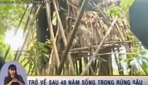 Man, Son Spent 40 Years Alone in Jungle Treehouse