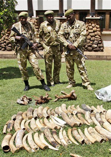 Help National Security: Curb Animal Poaching
