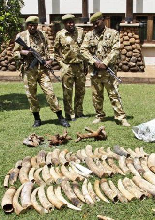 Help National Security: Curb Animal Poaching