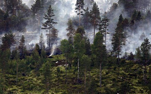 'Carbon Saturation' Close for Europe's Forests