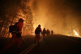 Rim Fire May Have Started on Illegal Pot Farm: Official
