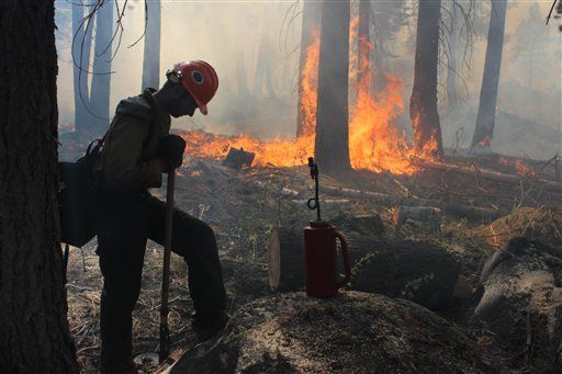Hunter Started Yosemite Fire: Feds