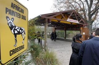 Boy's Mauling Death Is Mom's Fault: Zoo