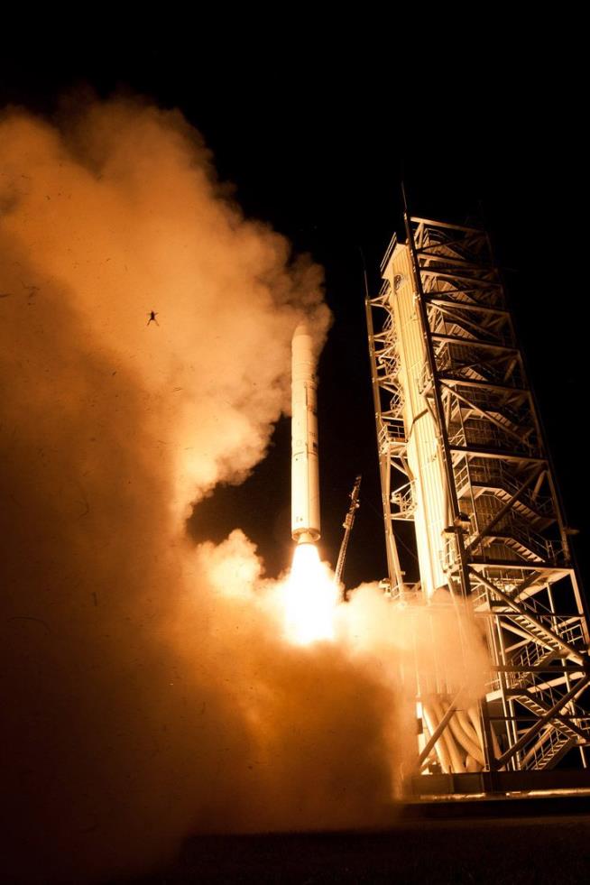 Yep, That's a Frog in NASA Rocket Photo