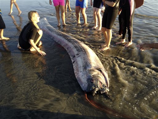 2nd 'Sea Serpent' Washes Ashore