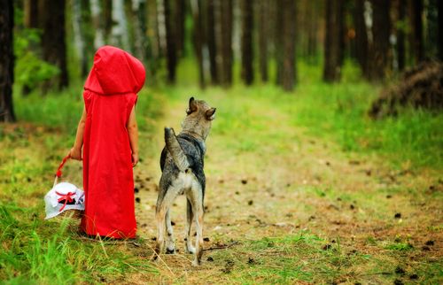 How a Computer Solved the Mystery of Red Riding Hood's Origin
