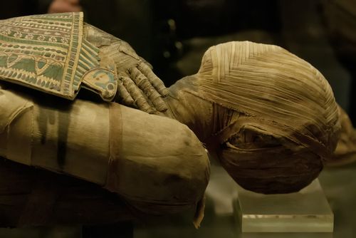 Egyptian Mummies Got Meat Dishes for Eternity