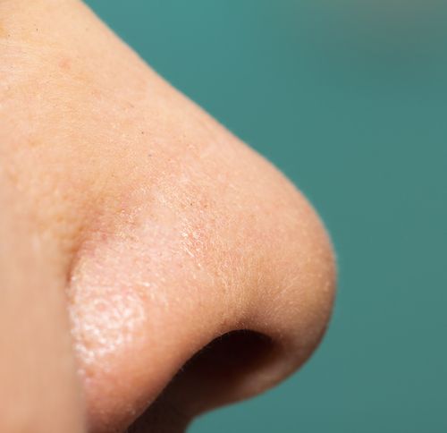 Why Guys' Noses Are Bigger