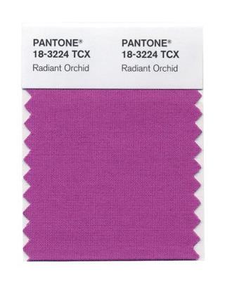 2014's Color of Year: 'Radiant Orchid'