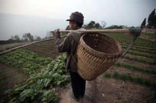 8M Acres of China Farmland Too Polluted to Farm