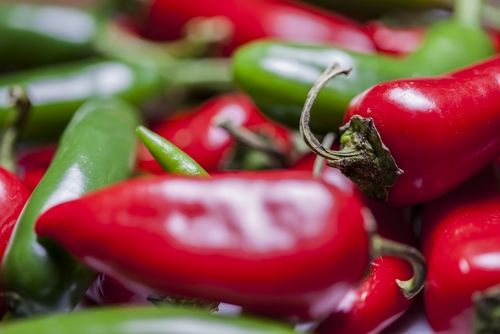 Peppers Might Get Spicier Thanks to Genome Map
