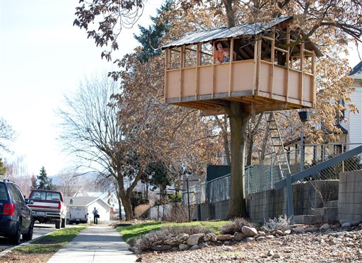 Homeowner Fights to Keep Treehouse