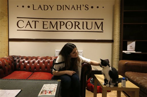 Cat Cafe a Big Hit in London