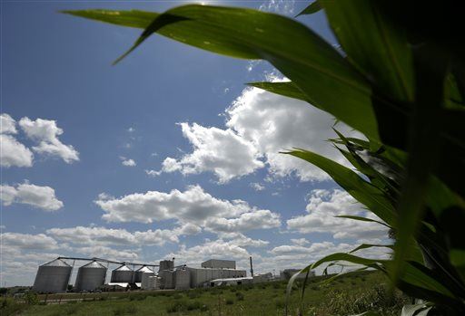 Scientists: We Can Make Ethanol Without Corn