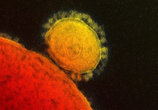 US Gets First Case of Deadly MERS Virus