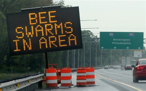 Truck Flips, Dumps 20M Angry Bees on Highway