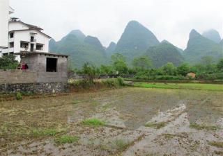 China's Bulldozing of Mountains Is Nuts, Say Scientists