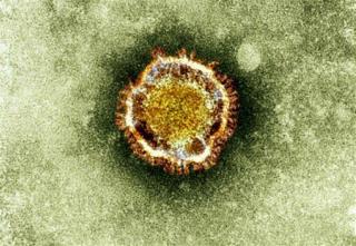 Lab Revives History's Deadliest Flu Virus