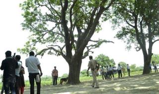4th Woman Found Hanged From Tree in India