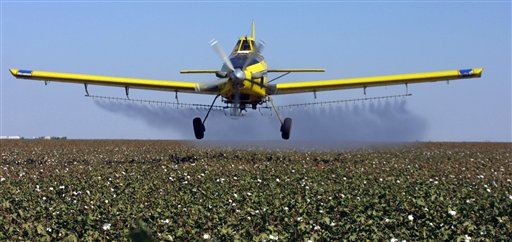 Pesticides Put World Food Supply at Risk