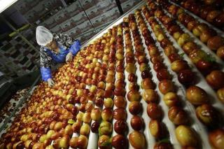 Costco, Trader Joe's Peaches, Plums Recalled