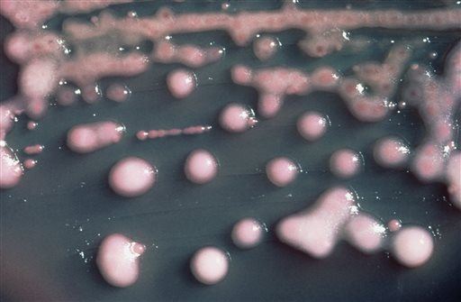 Antibiotic-Resistant 'Nightmare Bacteria' Rising in Southeast