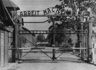 Rabbi Detained for Singing at Auschwitz