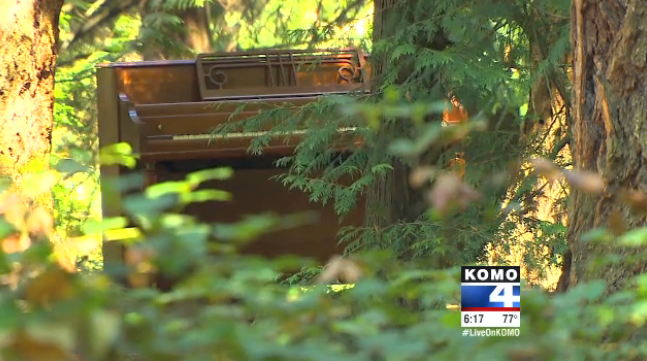 Mystery Solved of Piano in Seattle's Woods
