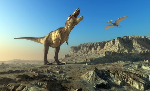 10 Dinosaur Mysteries That Still Linger