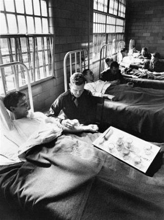 US Malaria Experiments in 1940s Left Troops 'Ruined'
