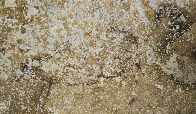 Indonesian Cave Paintings Change Story of Ancient Art