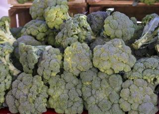 Broccoli Chemical Could Help Fight Autism Symptoms