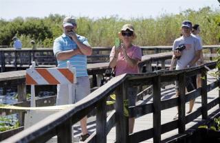Experts Hunt for Prehistoric Culture Under Everglades Boardwalk
