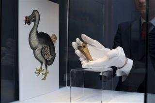 Scientists Resurrect the Dodo Bird