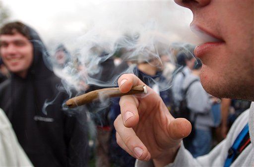 Chronic Pot Smokers Have Different Brains, Lower IQs