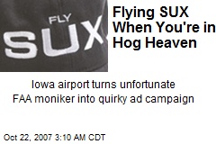 Flying SUX When You're in Hog Heaven