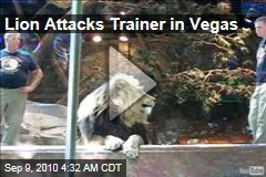 MGM Lion Attacks Trainer