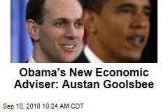 Obama's New Economic Adviser: Austan Goolsbee