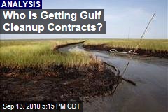 Who Is Getting Gulf Cleanup Contracts?