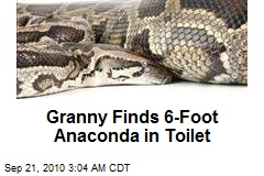Granny Finds 6-Foot Anaconda in Toilet