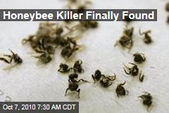 Honeybee Killer Finally Found