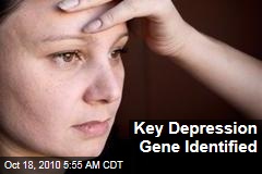 Key Depression Gene Identified